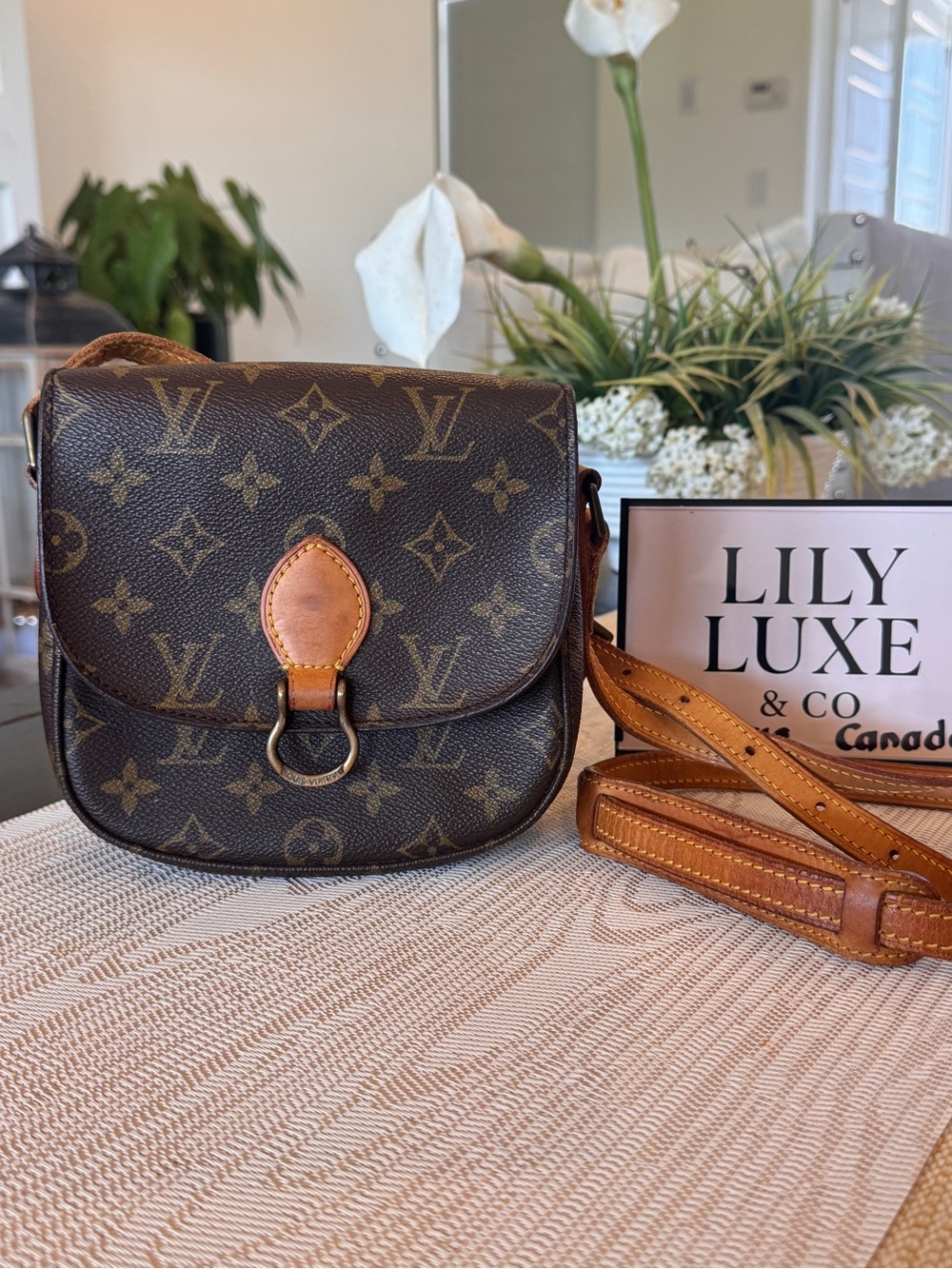 Louis Vuitton Monogram St Cloud PM